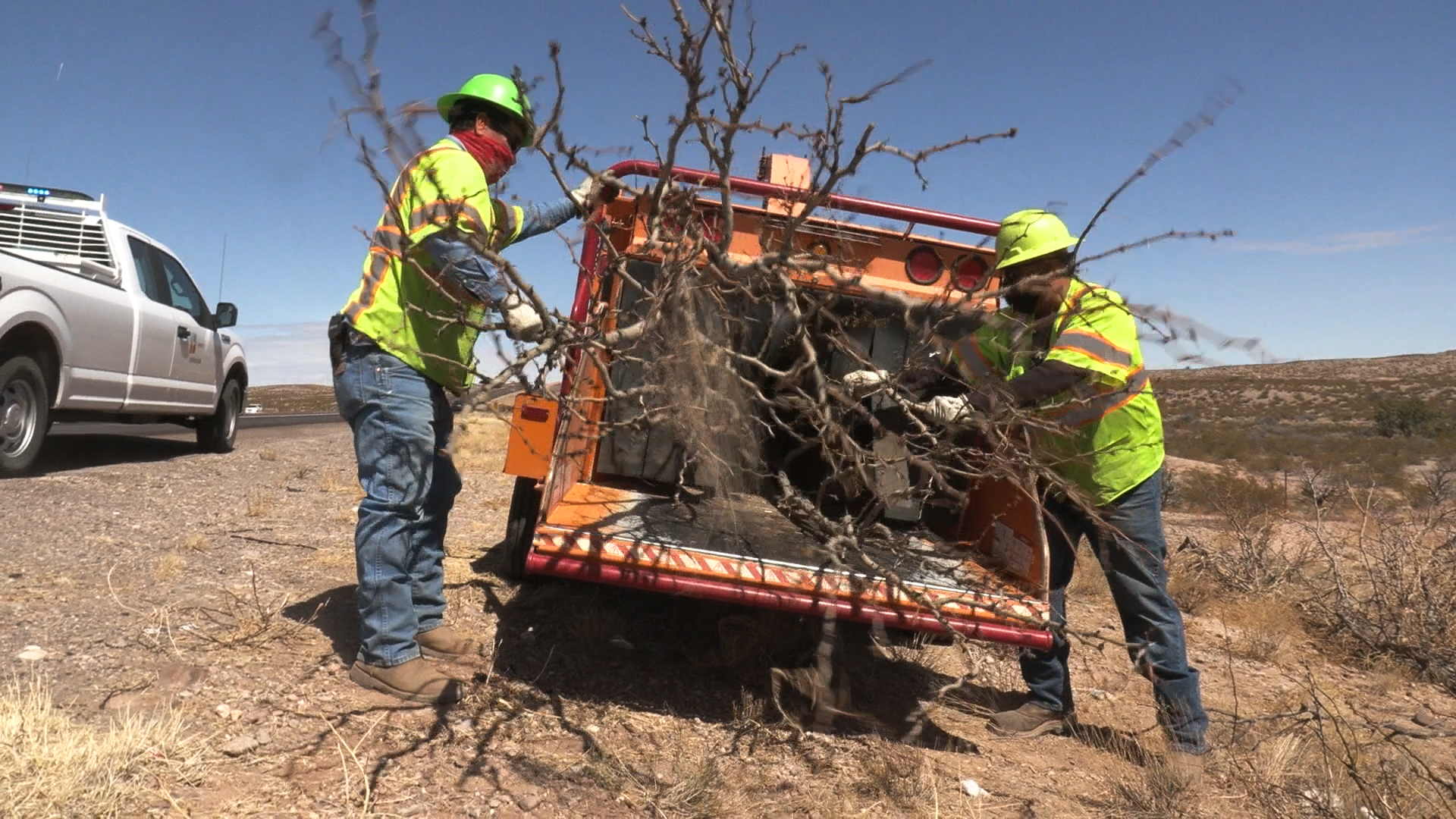 highway brush management image