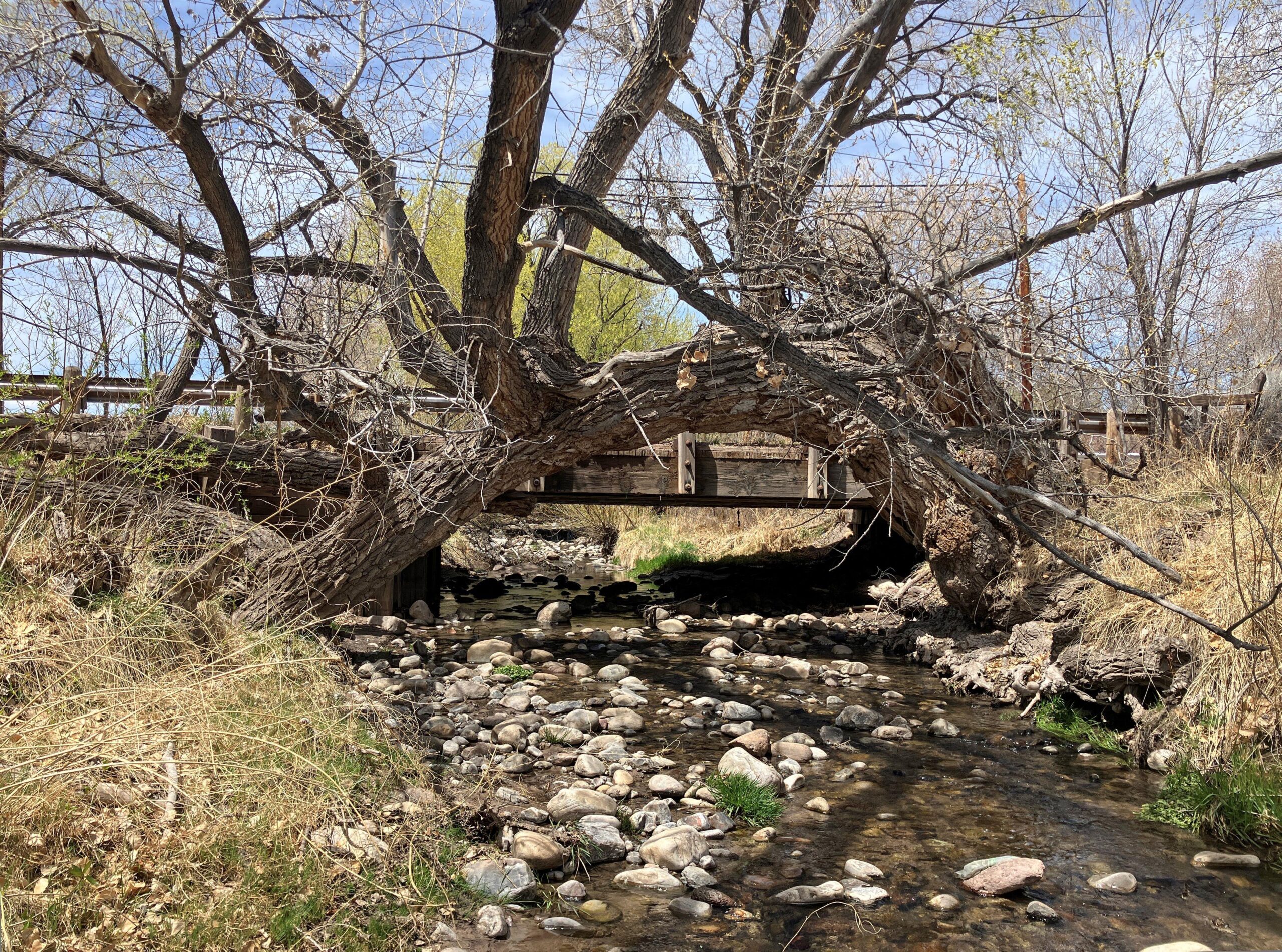 NM 554 El Rito Bridge Replacement Project, CN 5101287