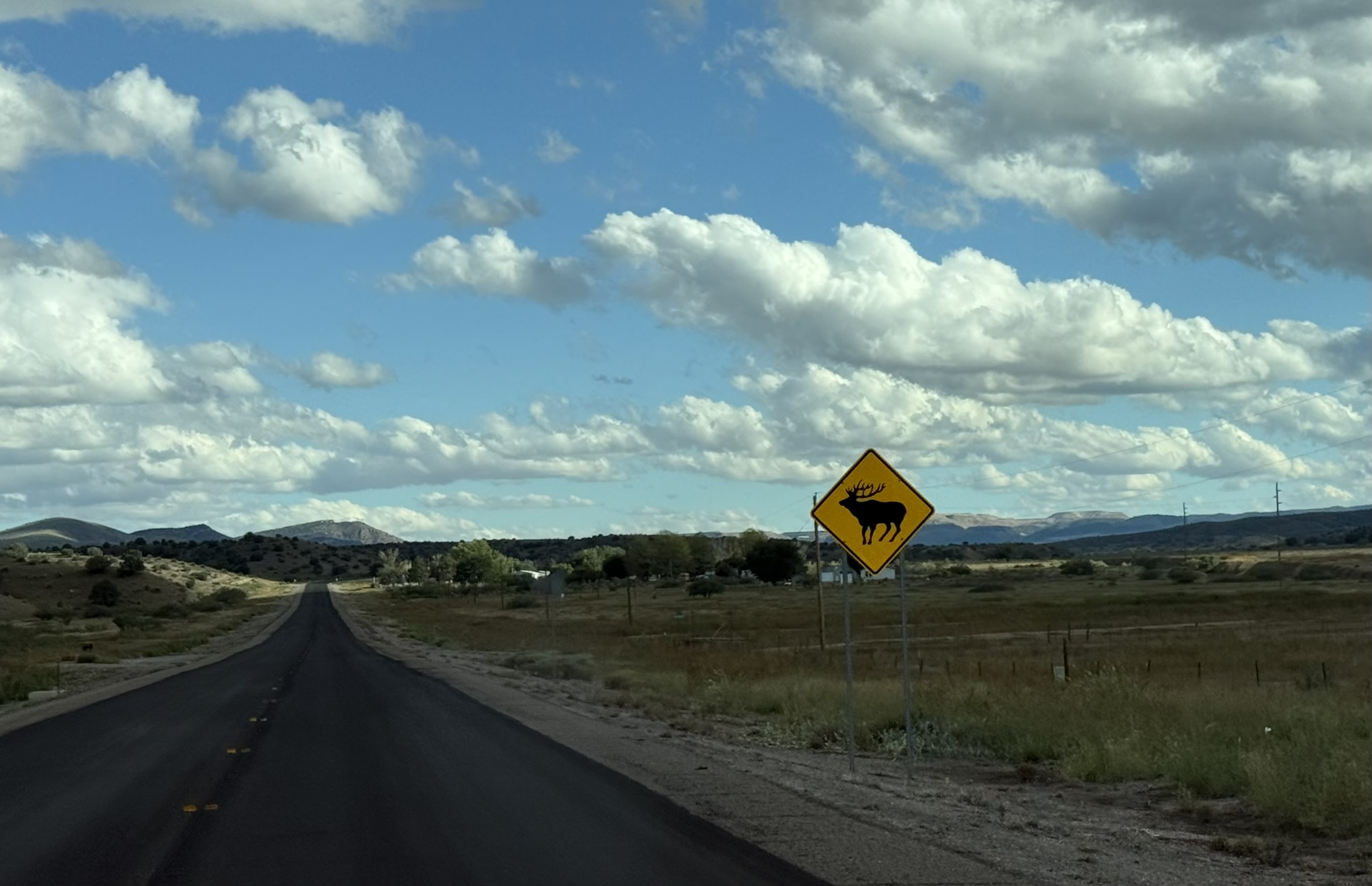 Wildlife sign along US 180 west of Silver City