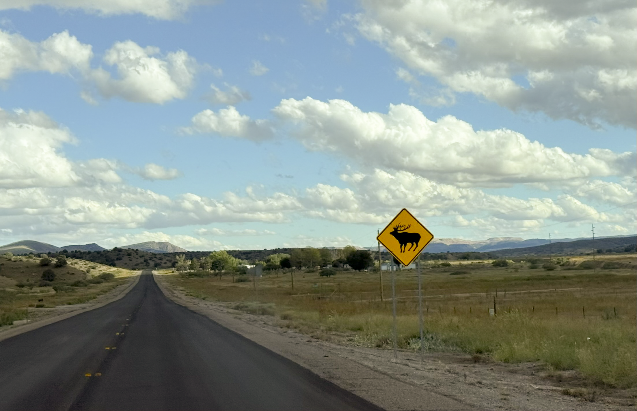 Wildlife sign along US 180 west of Silver City