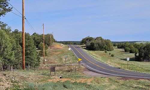 Image shows grass around a rural highway